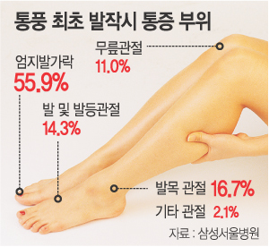로하스휘트니스 이미지
