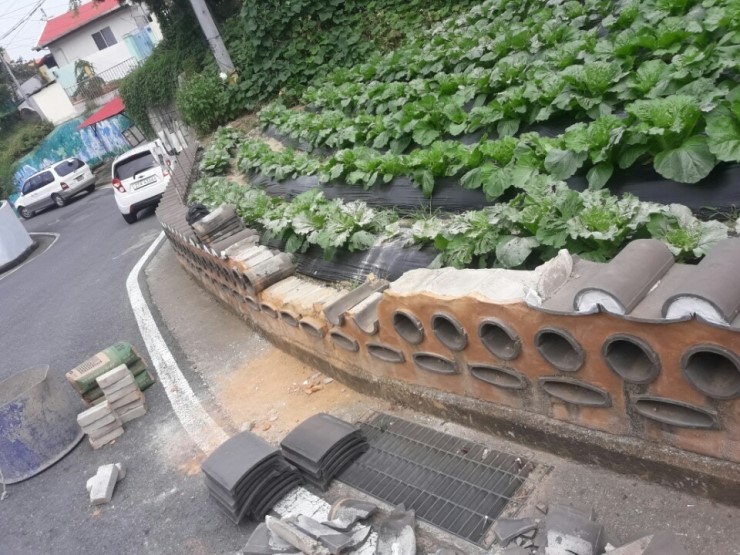 토담클린 이미지