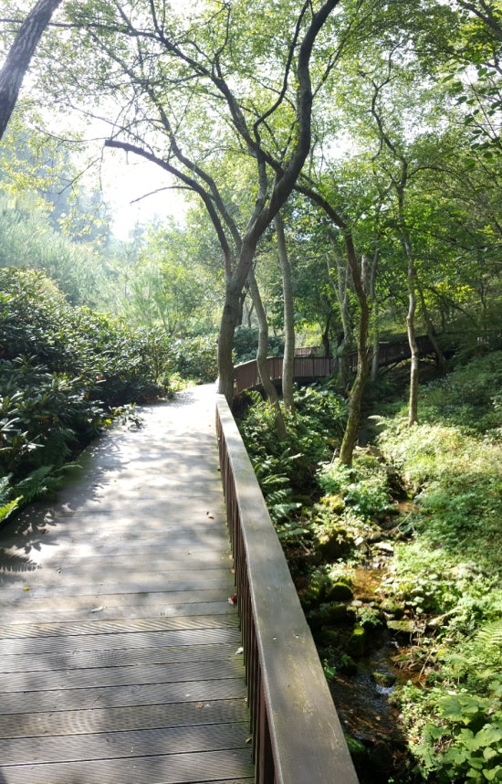 삼삼바이크 이미지