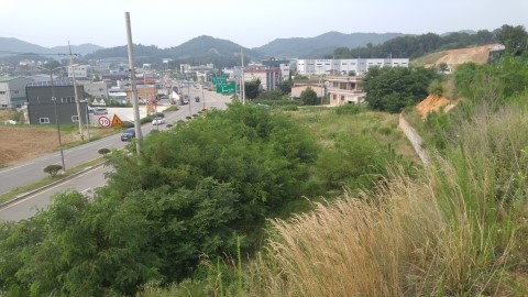 양지행정사사무소 이미지