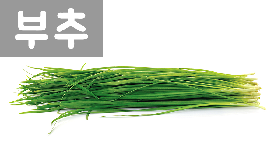 경화반점 이미지
