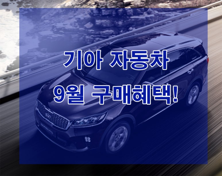 베스트바이카 이미지