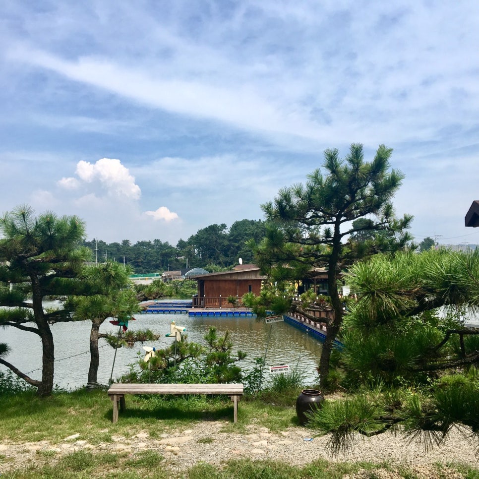 베테랑바베큐 이미지