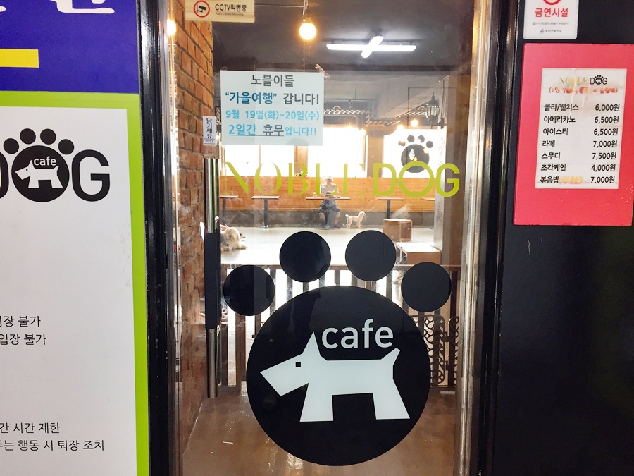 노블도그 이미지