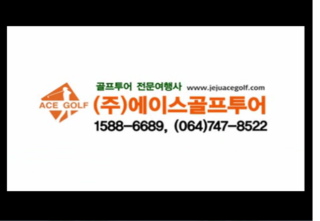 에이스투어렌터카 이미지