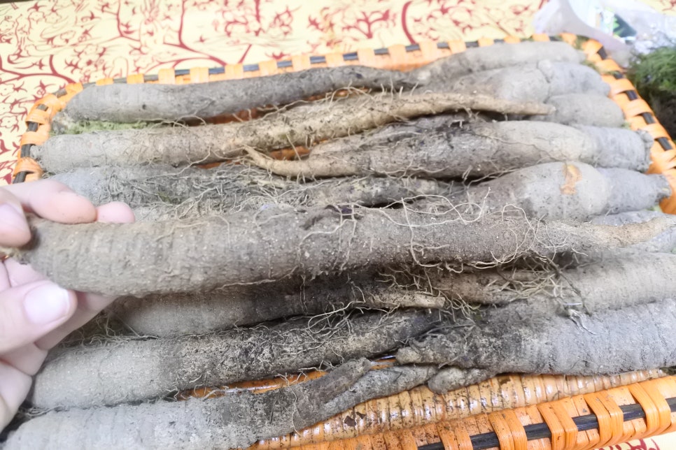 횡성더덕상회 이미지