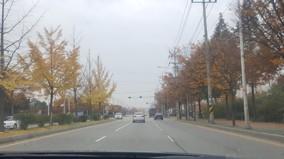 천하인력가사원 이미지