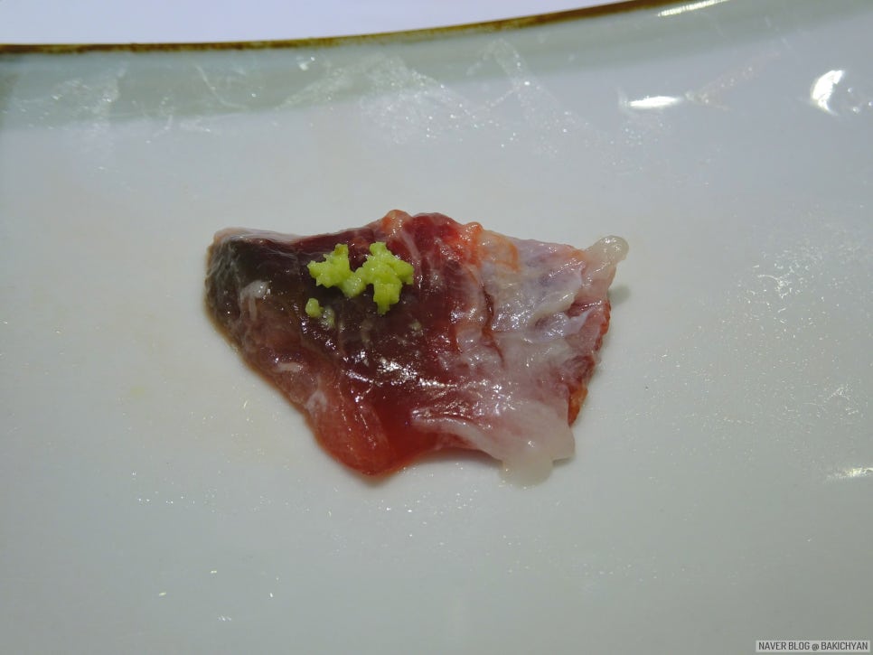 참치나라 이미지