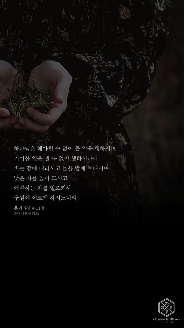 (주)비앤셀 이미지