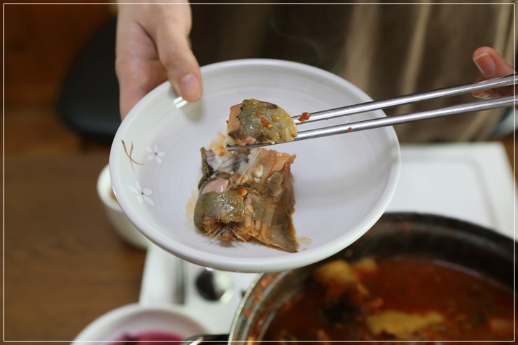 메기본가 이미지