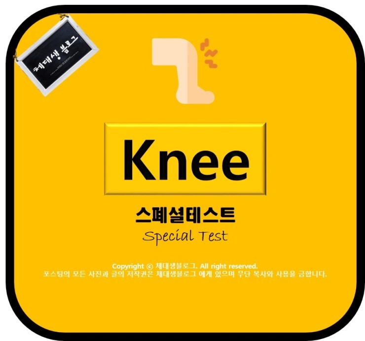 Knee Jerk Test(ACL검사) 네이버 블로그