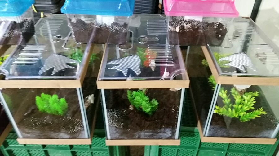 마실길 걷는 달팽이 농장 이미지