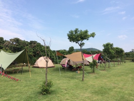 제주돌하르방캠핑장 이미지