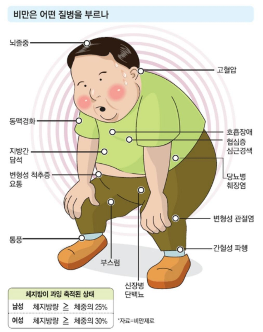 정스수정 이미지