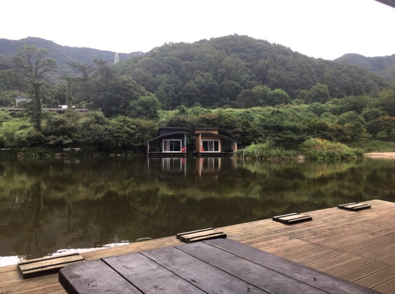 개나리낚시터 이미지