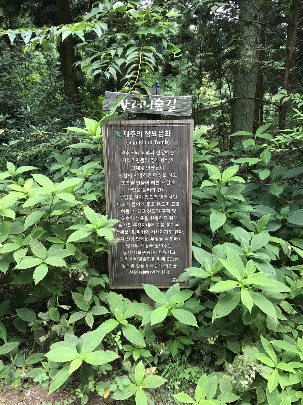 딕시 이미지