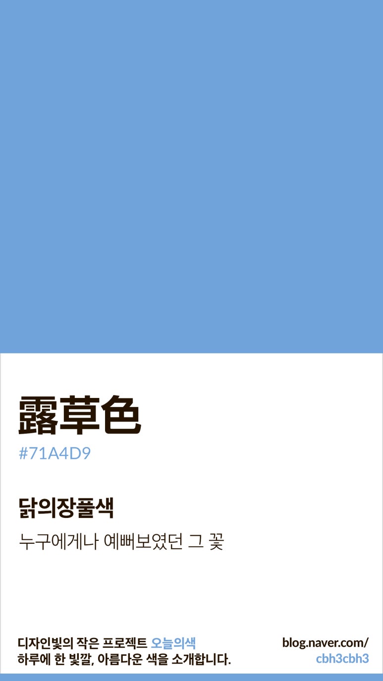 [오늘의 빛: 오늘의 색] 닭의장풀색 : 네이버 블로그