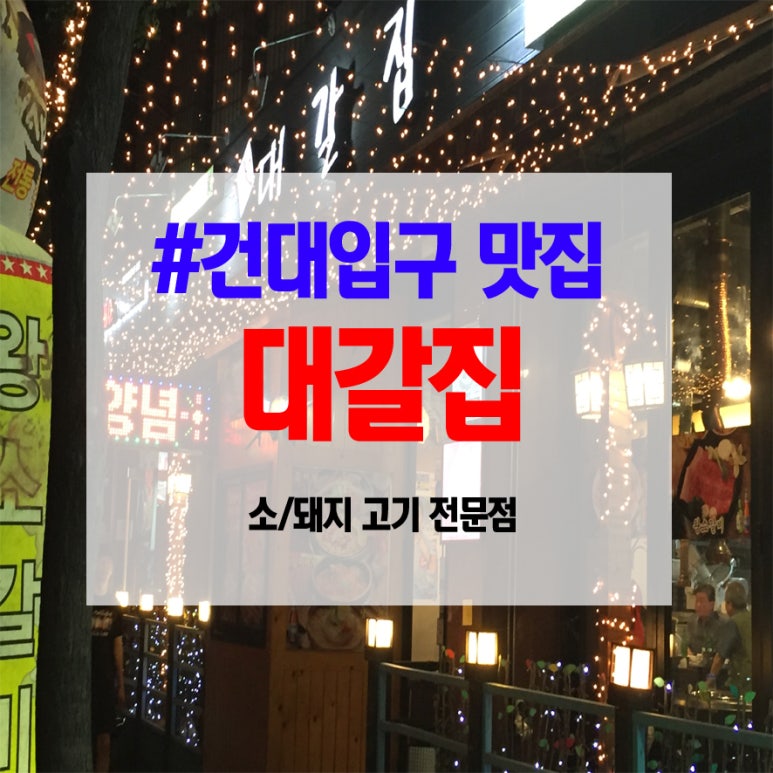대갈집 이미지