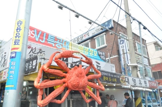 가야유통 이미지