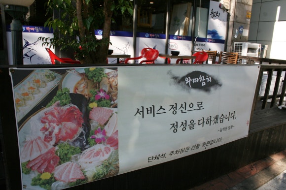 와따참치 이미지
