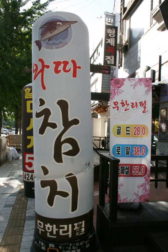 와따참치 이미지