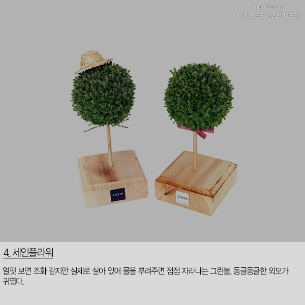 피어나플라워 이미지