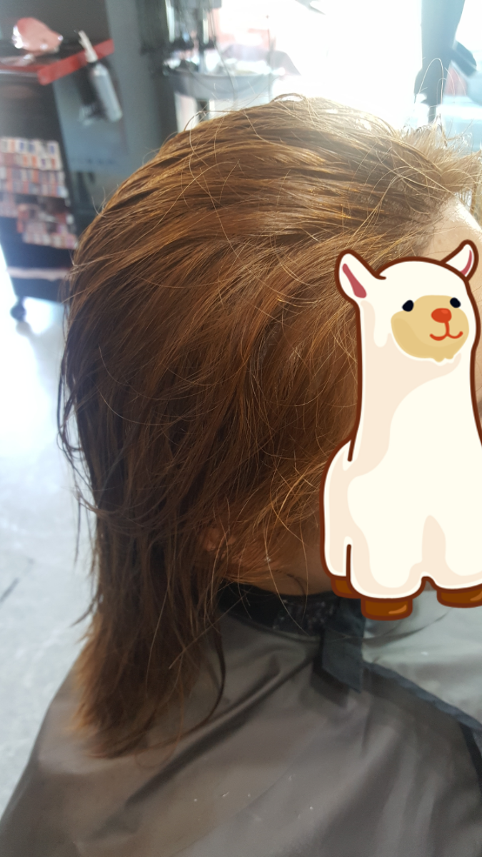 라봄헤어 이미지