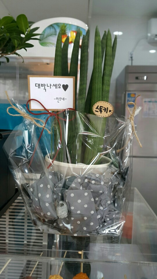 와닭꼬치 이미지