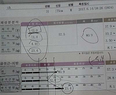 오오다이어트 이미지