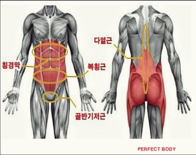 몸이예뻐짐 이미지