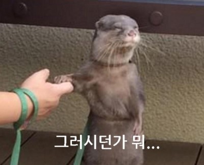 미미작업실 이미지