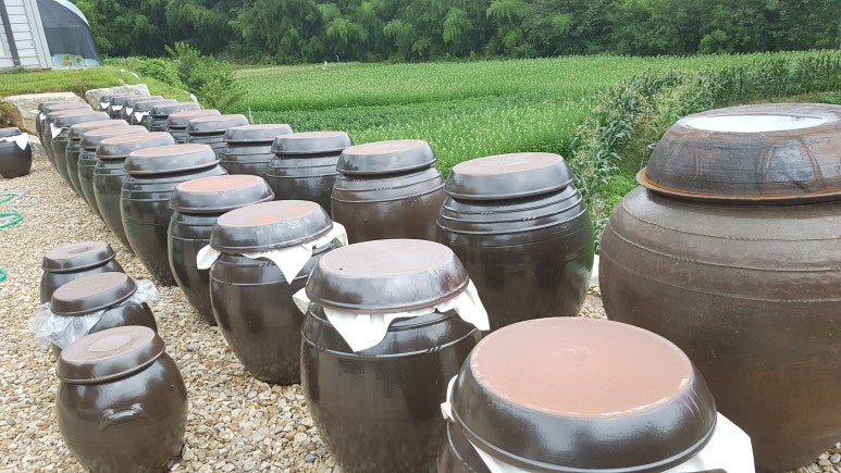중앙회식당 이미지