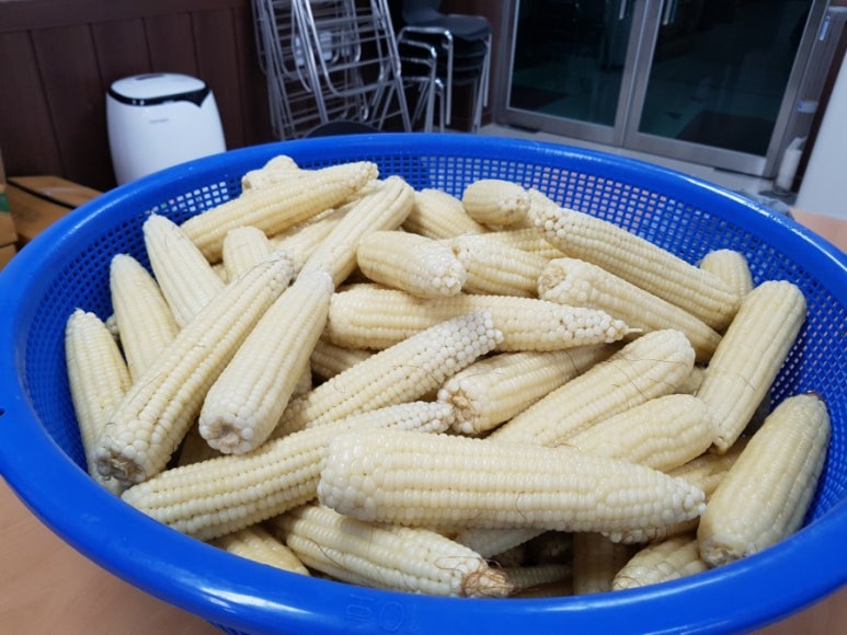계란마을 이미지