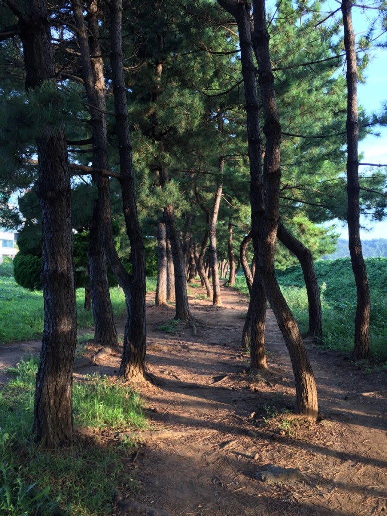 동해정보통신 이미지