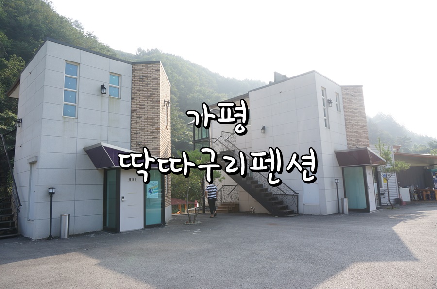 딱따구리펜션 이미지