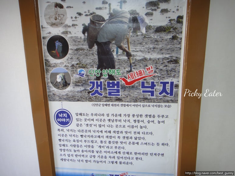신안갯벌세발낙지 이미지