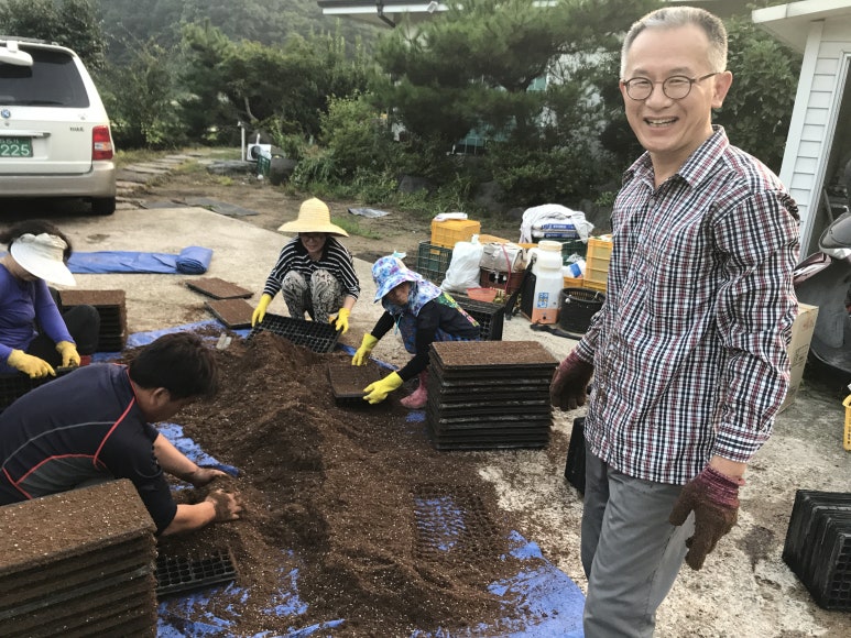 팔각산친환경절임배추영농조합법인 이미지