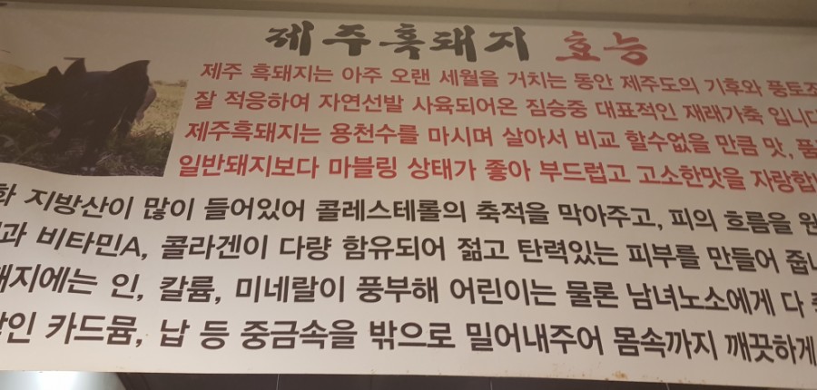 제주탐라돈 이미지