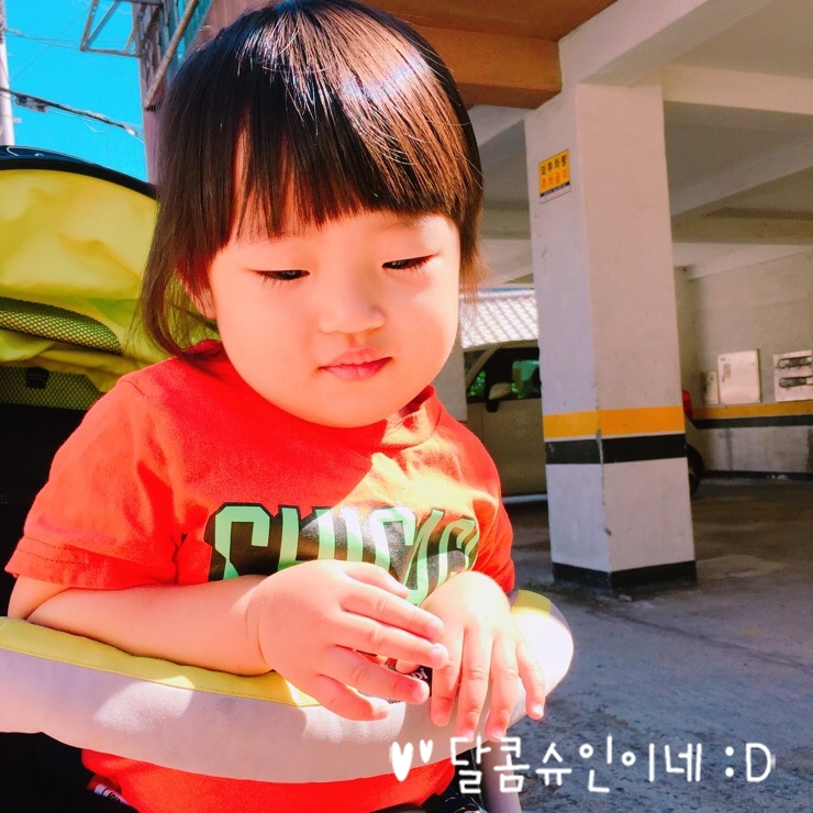 이닝슈 이미지