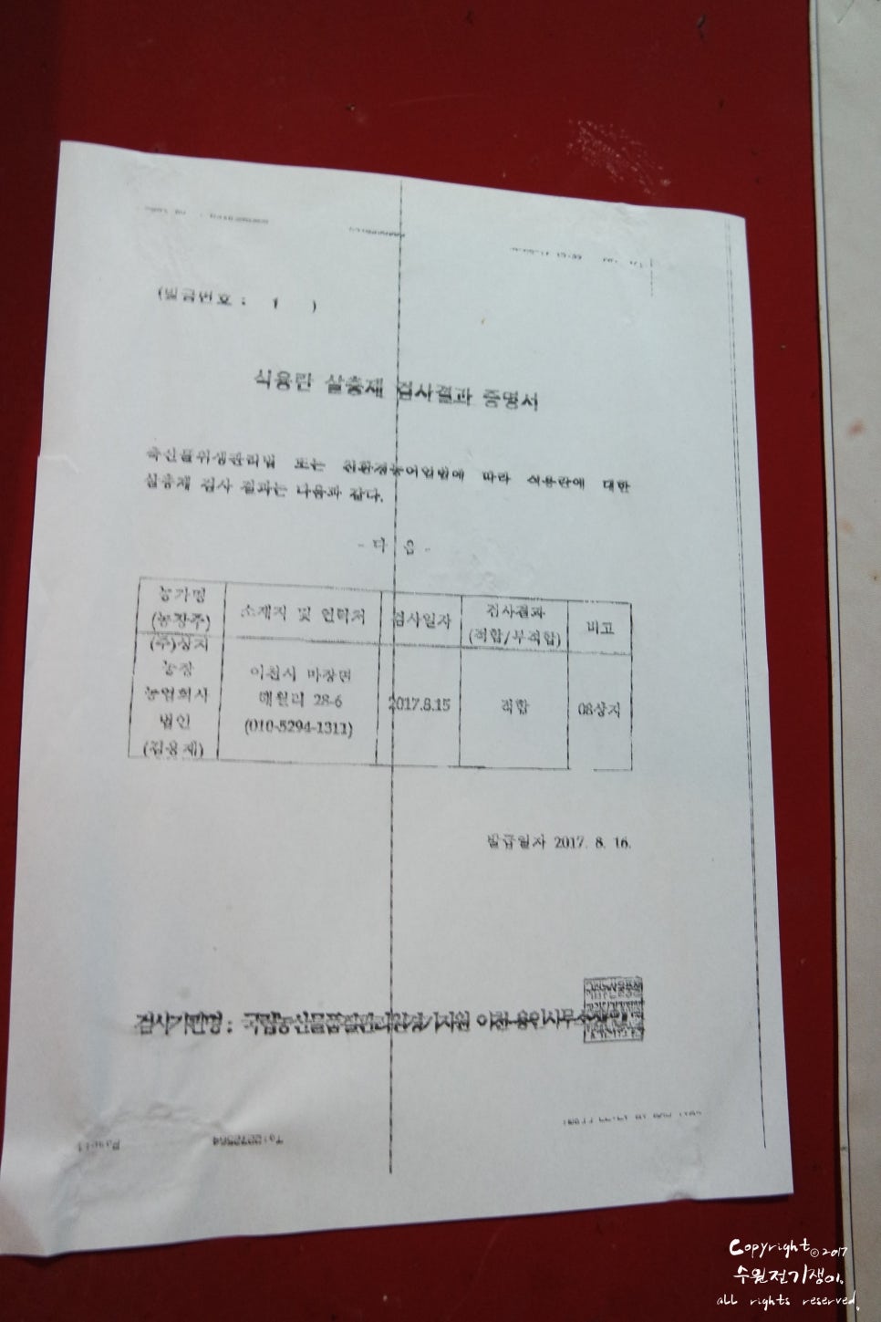 돈군네돼지한판 이미지