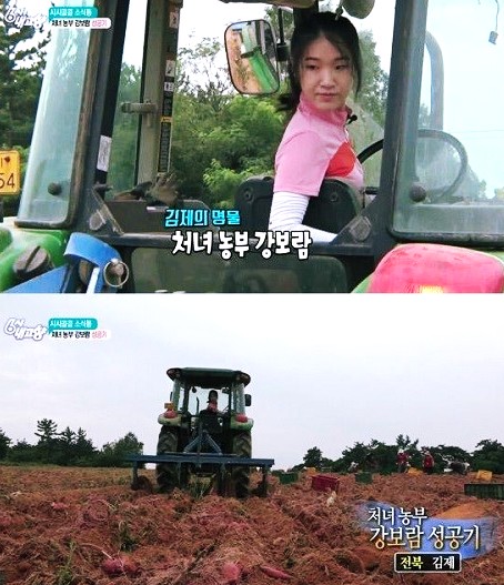 강보람고구마 이미지