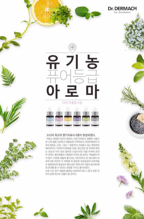 바자Bazar 이미지