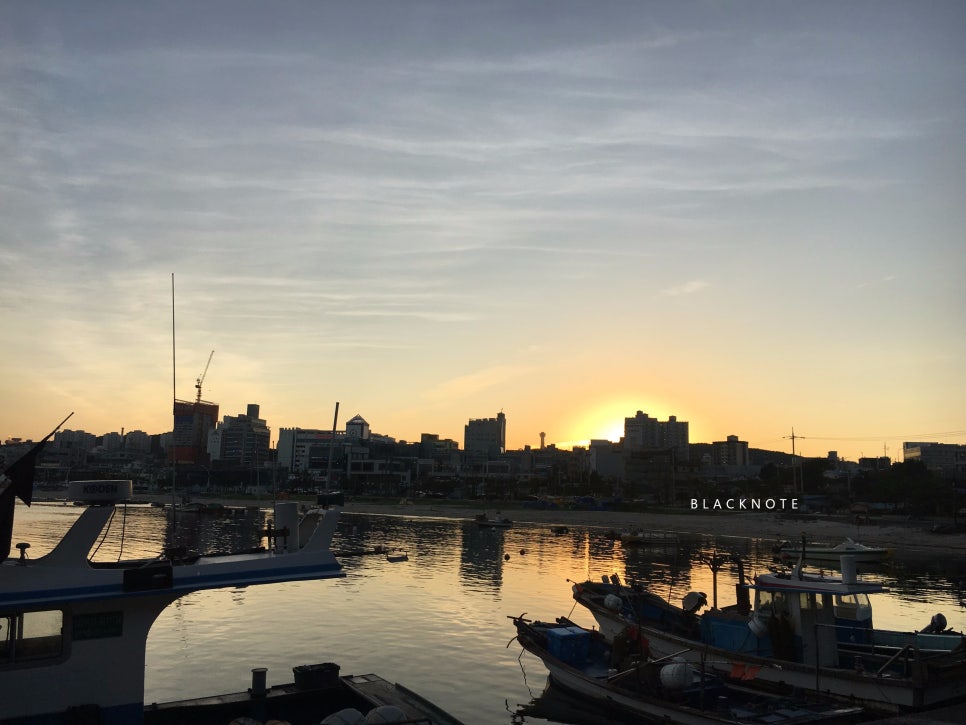 빛나수산 이미지