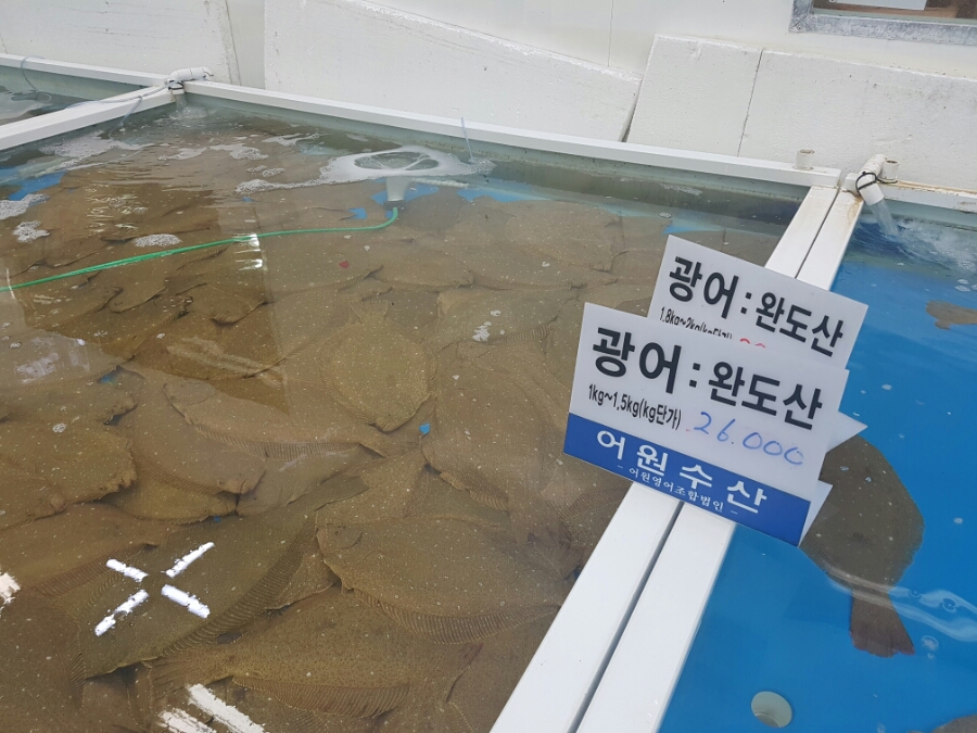 금호수산 이미지