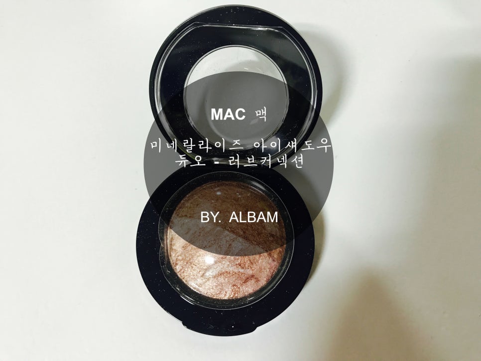 라이즈커넥션 이미지