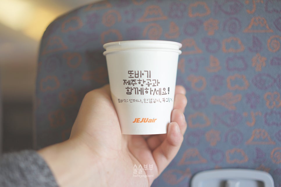 정스카 이미지