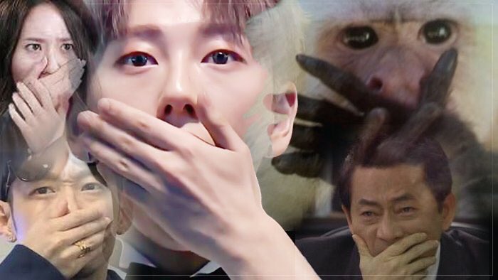 짤방커트 이미지