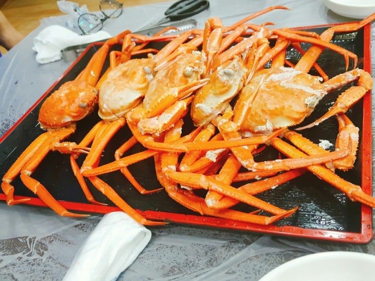 퐁즈 이미지