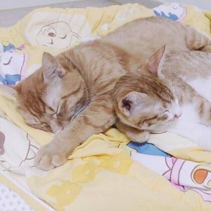 트리플디 이미지