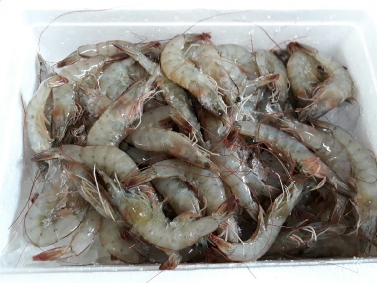 신해수산 이미지